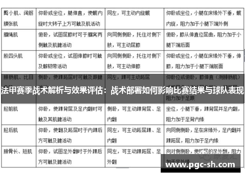 法甲赛季战术解析与效果评估：战术部署如何影响比赛结果与球队表现