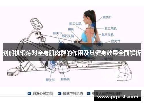 划船机锻炼对全身肌肉群的作用及其健身效果全面解析