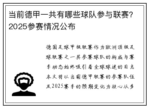 当前德甲一共有哪些球队参与联赛？2025参赛情况公布